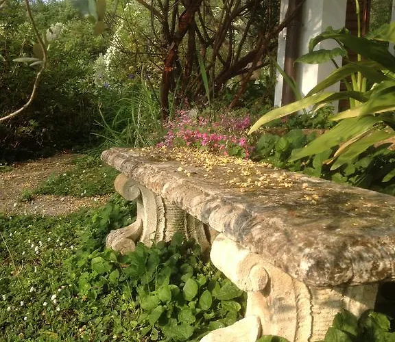 Il Paradiso Del Garda Bed & Breakfast Padenghe sul Garda
