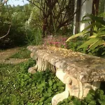 Il Paradiso Del Garda Bed & Breakfast Padenghe sul Garda