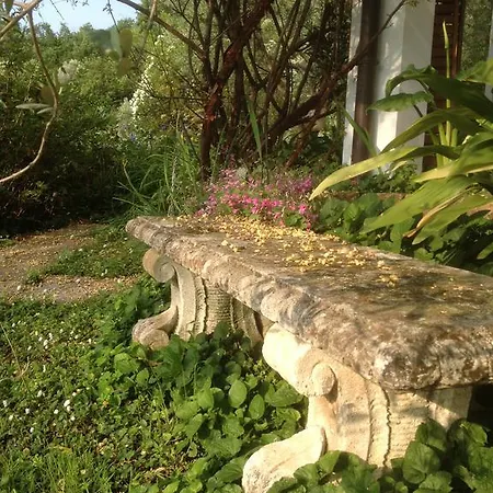 Il Paradiso Del Garda Bed and breakfast Padenghe sul Garda